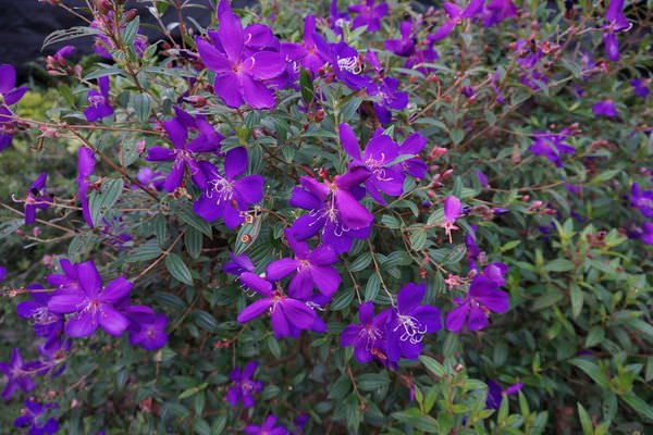 DSC00301